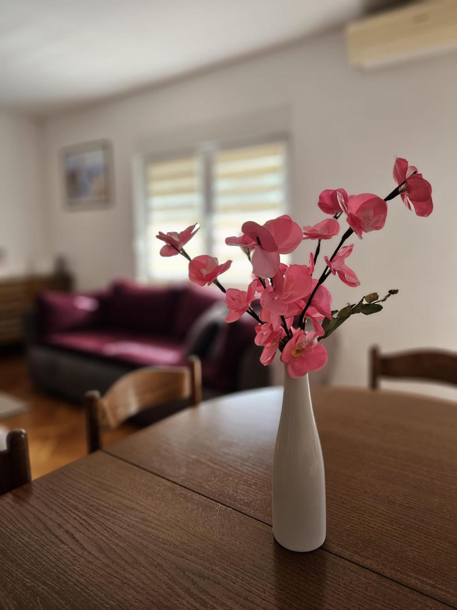 Apartment Vesna Podaca Ngoại thất bức ảnh
